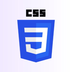 CSS icon Curlvics Solutions